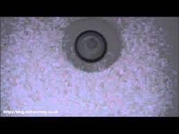 How To Remove A Halogen Ceiling Bulb