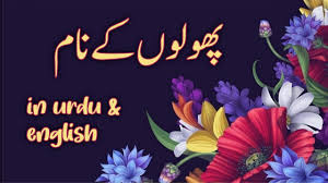 learn flower names in urdu and english
