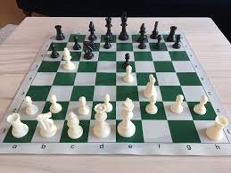 Chess next move program suggests you the best tactical chess move for any position. My Month Long Quest To Become A Chess Master From Scratch By Max Deutsch Medium