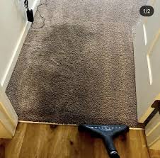 carpet cleaners boise id system kleen
