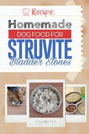 homemade dog food for struvite bladder