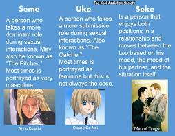 What is uke and seme