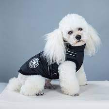 Dog Clothes For Small Dogs Dog Coat