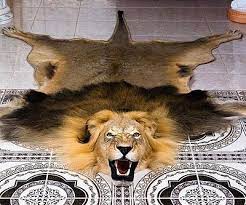 replica lion rug