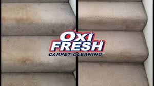 best 15 carpet cleaners in st johns
