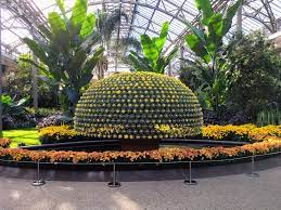 a visit to longwood gardens the