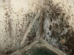 dangerous wet basements ashworth drainage
