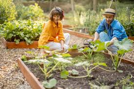 How To Start Organic Garden From