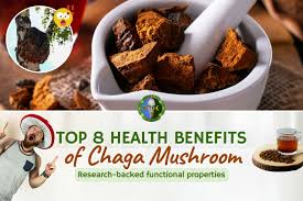 chaga mushroom benefits for skin and health