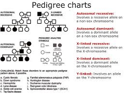 Pedigree Online Charts Collection
