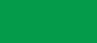 Color 049b4b Pigment Green Background