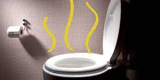 7 Causes Of Smelly Urine Self