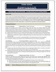Resume Format Sales And Marketing   Free Resume Example And     toubiafrance com