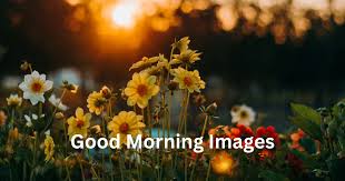 good morning flowers images with es