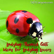 lovely ladybug themed gift ideas for