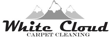 professional carpet cleaning in idaho