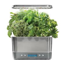 Genovese basil, chives, cilantro, curly. Aerogarden Harvest Elite With Gourmet Herb Seed Pod Kit