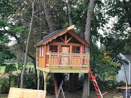Building A Tree House