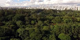 21 pavimentos tipo + 1 duplex (pavimento inferior e. Parque Ibirapuera Conservacao Linkedin