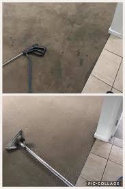 carpet cleaning in newcastle nsw