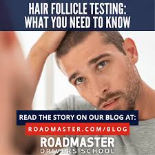 hair follicle testing what you need