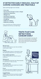 Abnormal swellings that persist or continue to grow. All About Dog Cancer Testing Petco