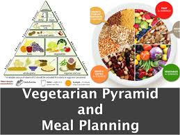 vegetarian t food pyramid meal