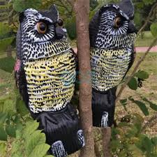 Owl Decoy Pigeon Crows Scarer Realistic