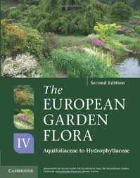 european garden flora flowering plants