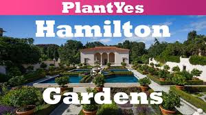 hamilton gardens