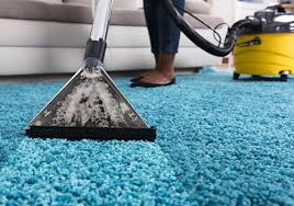 carpet cleaning services naples king