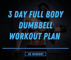 3 day full body dumbbell workout plan