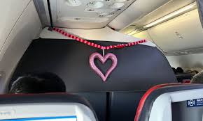american airlines love plane
