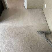 gator carpet cleaning and water