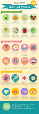 Infographic Baby Led Weaning Blog Little Gourmet Baby