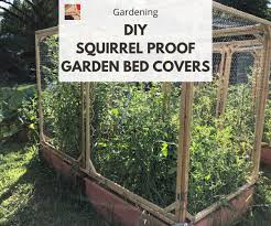 squirrel proof raised garden bed covers