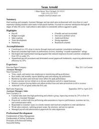 Resume CV Cover Letter  resume examples information technology    