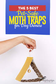 5 best pet safe moth traps that aren t