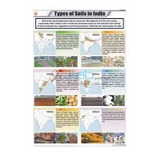 Types Of Soils In India Chart India Types Of Soils In India