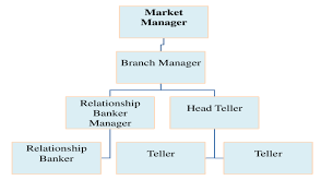 generic organizational chart for banks