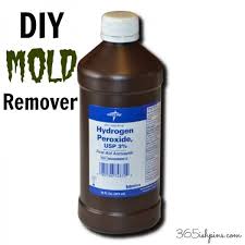diy mold remover simple and seasonal