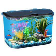 5 gallon aquarium