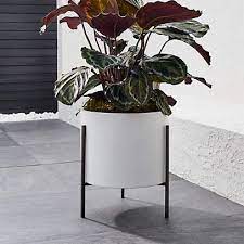 Dundee Indoor Outdoor Low White Planter