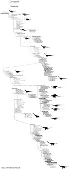 Therapoda Dinosaur Classifications Chart Dinosaur Pictures