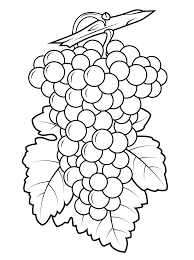Free printable yummy grapes coloring page and download free yummy grapes coloring page along with coloring pages for other activities and coloring sheets. Grapes Coloring Pages Best Coloring Pages For Kids