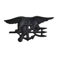 navy seal badge enlisted