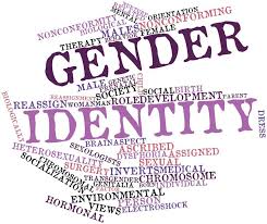 Image result for gender identity
