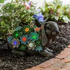 Evergreen Solar Resin Succulent Rabbit