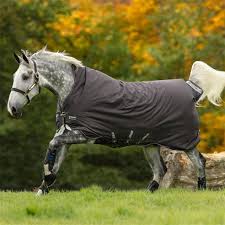 amigo equestrian equestrian rugs