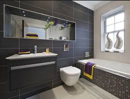 Chicago Bathroom Remodeling Pros And